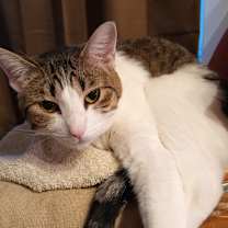 Thumbnail photo of Ruth #3