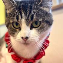 Thumbnail photo of Marbles #1