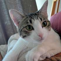 Thumbnail photo of Ruth #4