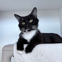 Thumbnail photo of Eugene #1