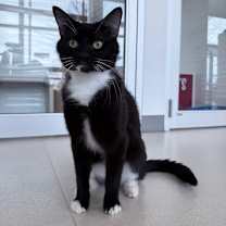 Thumbnail photo of Eugene #2