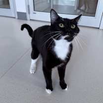 Thumbnail photo of Eugene #3