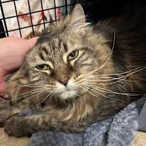 Thumbnail photo of Magic #3