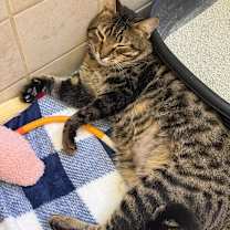 Thumbnail photo of Gabriel #2