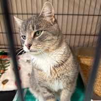 Thumbnail photo of Noah #2