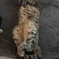 Thumbnail photo of Cash #2