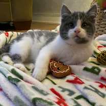 Thumbnail photo of Hawkins #2