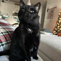 Thumbnail photo of Annie #3