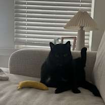 Thumbnail photo of Annie #4