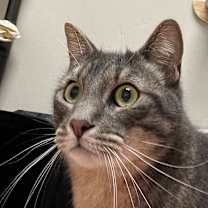 Thumbnail photo of Frida #1