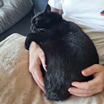 Thumbnail photo of Ramsha #4