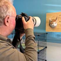 Thumbnail photo of Mr. Cheeks #2