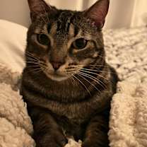 Thumbnail photo of Kyo #1