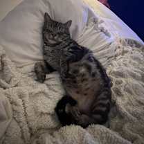 Thumbnail photo of Kyo #3