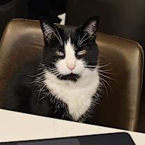 Thumbnail photo of Wilbur #4