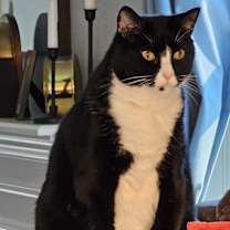 Thumbnail photo of Logan #4