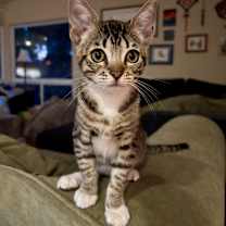 Thumbnail photo of Lucy #1