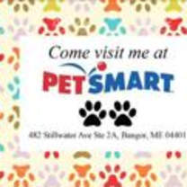 Thumbnail photo of Sweet Pea~s25/26-0305d #1