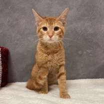 Thumbnail photo of Ms. Magee #1