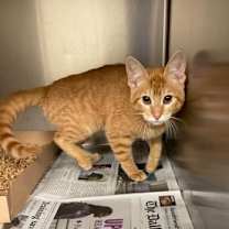 Thumbnail photo of Ms. Magee #2