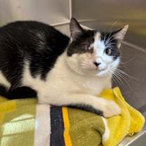 Thumbnail photo of Eve #1