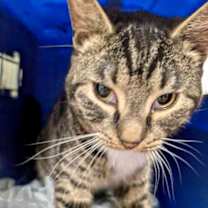 Thumbnail photo of Alien #1