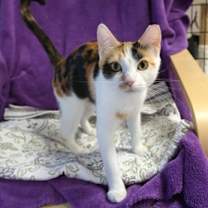 Thumbnail photo of Sundance #1