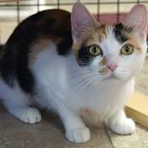 Thumbnail photo of Sundance #3