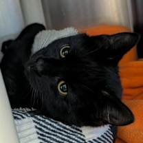 Thumbnail photo of Peter Pan #2