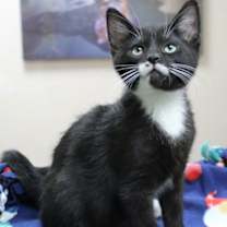 Thumbnail photo of Freddy #1