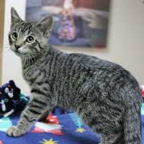 Thumbnail photo of Afton #3