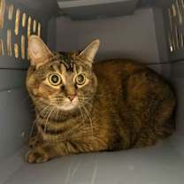 Thumbnail photo of Virginia #2