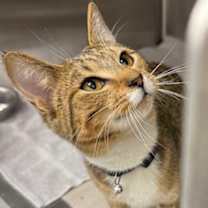 Thumbnail photo of Sprite #2