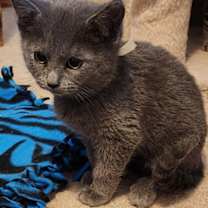 Thumbnail photo of Claire #2