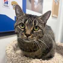 Thumbnail photo of Santander #1