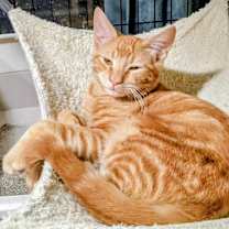 Thumbnail photo of Curve #3