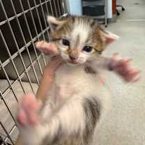 Thumbnail photo of Matilda #2