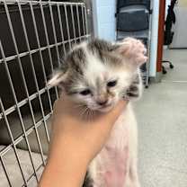 Thumbnail photo of Marilyn #2