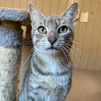 Thumbnail photo of Trish #2