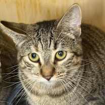 Thumbnail photo of Wanda #2