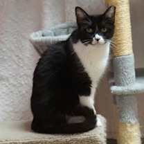 Thumbnail photo of Joey Rick #2