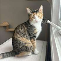 Thumbnail photo of Holly #3