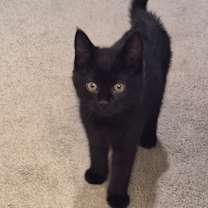 Thumbnail photo of Holly #1