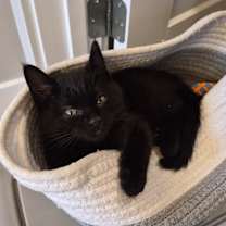 Thumbnail photo of Holly #2