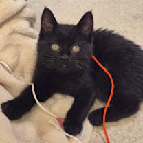 Thumbnail photo of Holly #3