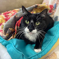 Thumbnail photo of Margaret #1