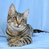 Thumbnail photo of Ruhn #1