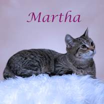 Thumbnail photo of Martha C25-325 #1