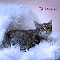 Thumbnail photo of Martha C25-325 #2