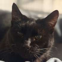 Thumbnail photo of Holly  #1